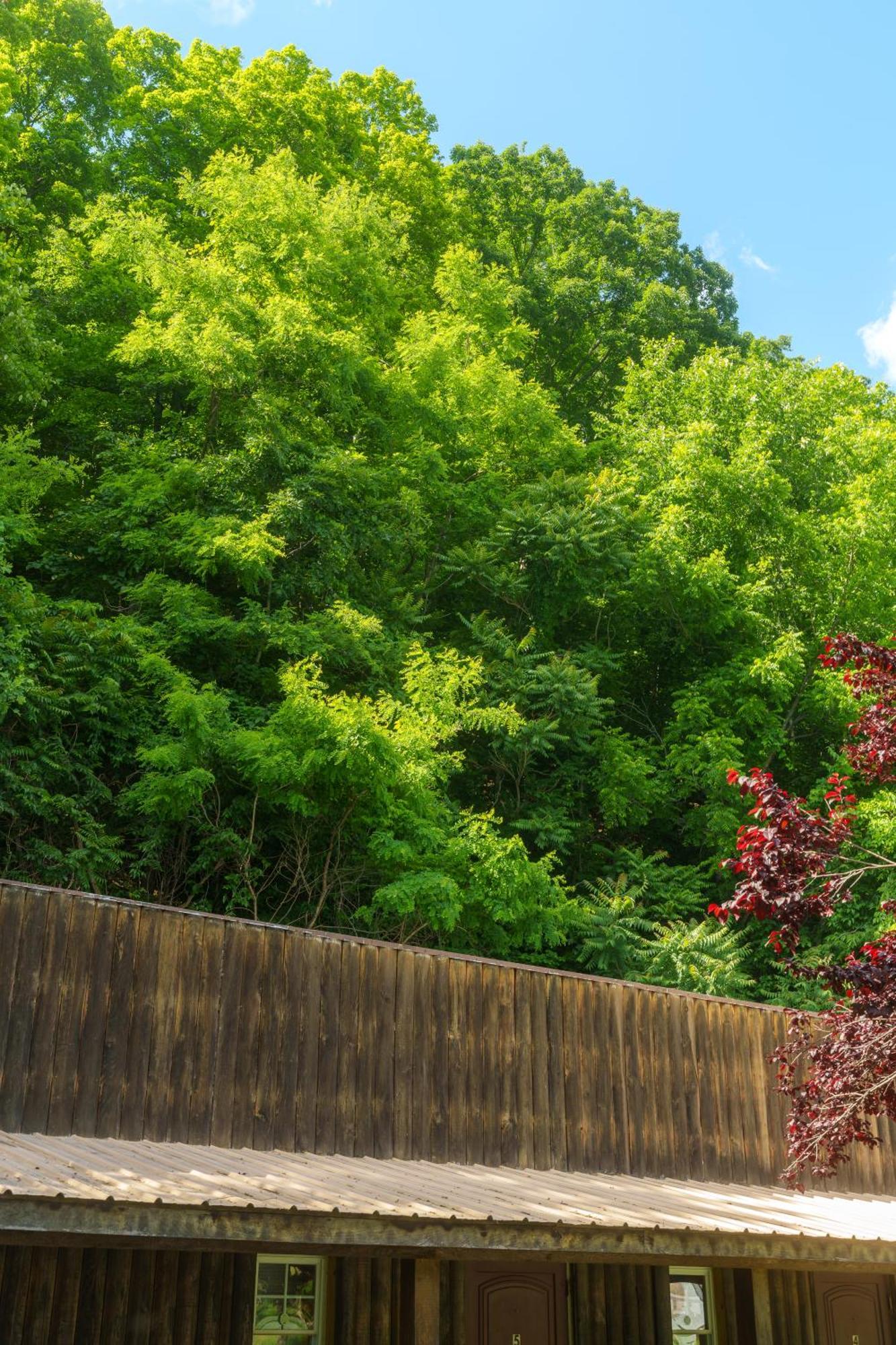 Seneca Pines Lodge Seneca Rocks 외부 사진